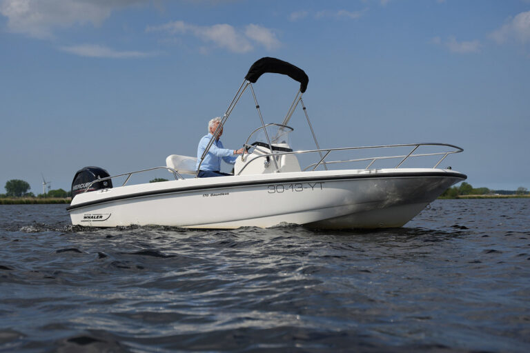 2014 Boston Whaler 170 Dauntless | 5.18m