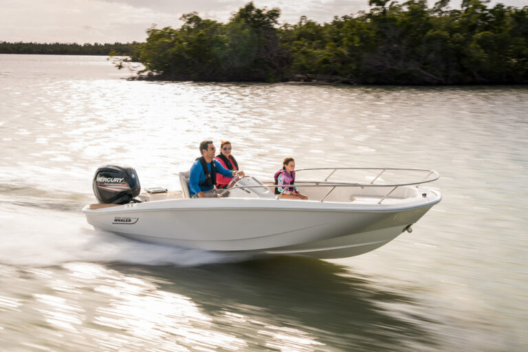 Boston Whaler 160 Super Sport | 5.31m