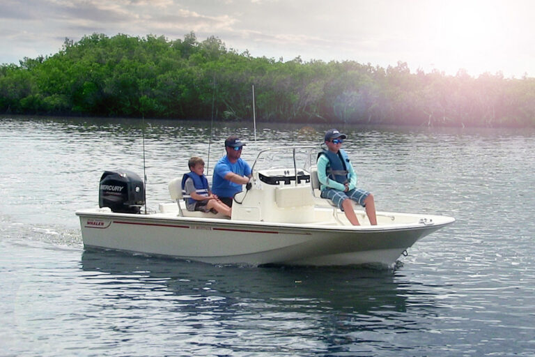 Boston Whaler 150 Montauk | 4.7m