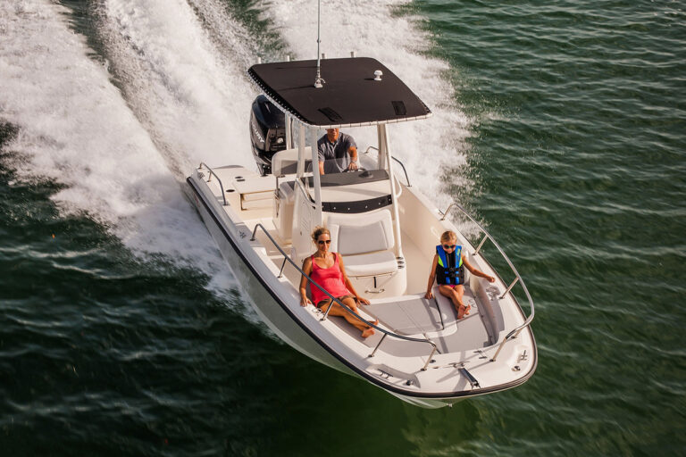 Boston Whaler 250 Dauntless | 7.62m