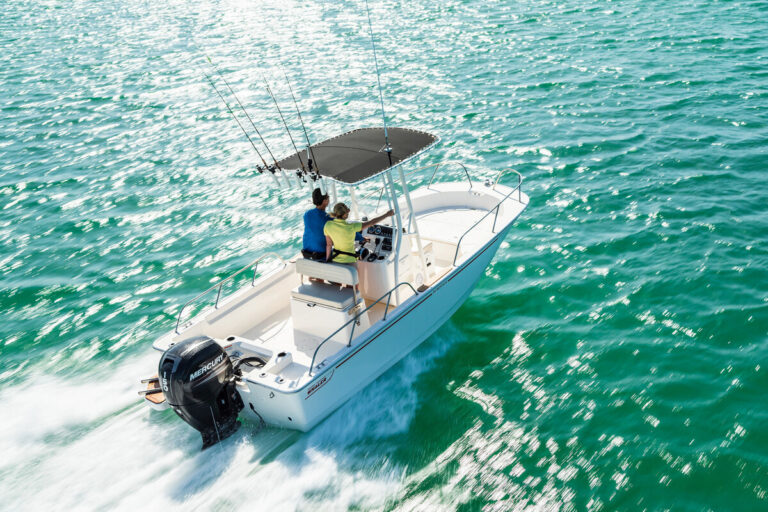 Boston Whaler 190 Montauk | 5.89m
