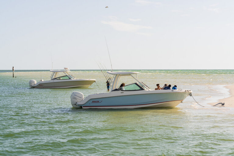 Boston Whaler 240 Vantage | 7.51m