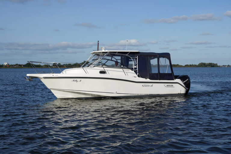 2007 Boston Whaler 285 Conquest | 9.19m