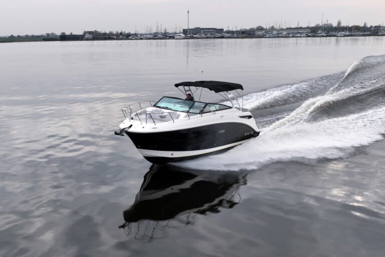 2020 Sea Ray Sundancer 290 | 8.75m